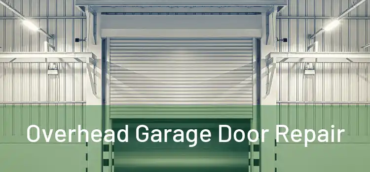  Overhead Garage Door Repair 
